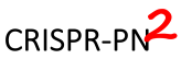 CRISPR-PN 2